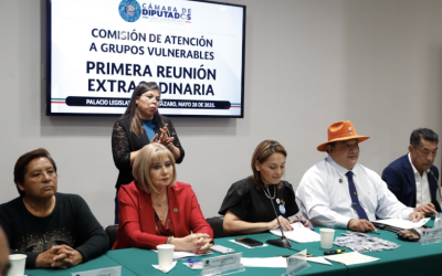 APRUEBAN DICTAMEN QUE REFORMA LEY PARA LA INCLUSIÓN DE LAS PERSONAS CON DISCAPACIDAD